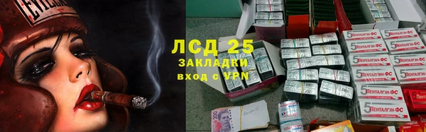 мескалин Богданович
