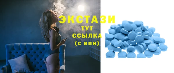 дмт Богородск