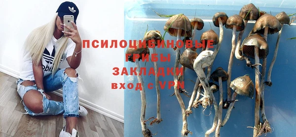 Альфа ПВП Богородицк