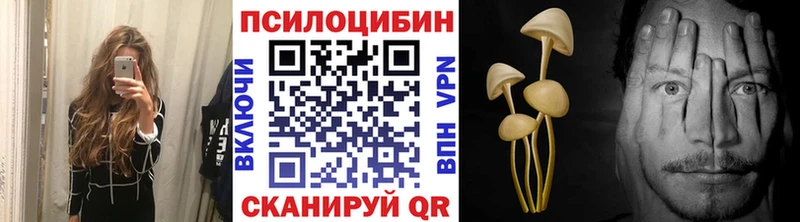 Галлюциногенные грибы прущие грибы  omg tor  Буй  даркнет сайт 